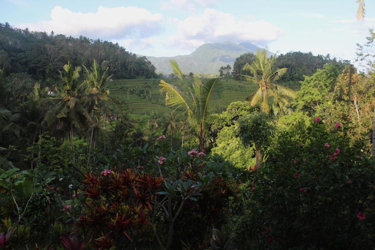 Pondok Lembah Dukuh Homestay Karangasem  Luaran gambar