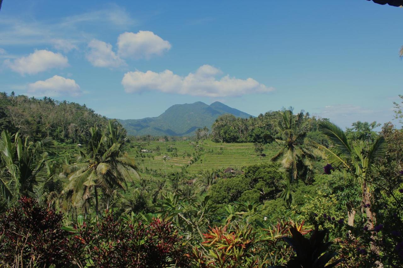 Pondok Lembah Dukuh Homestay Karangasem  Luaran gambar