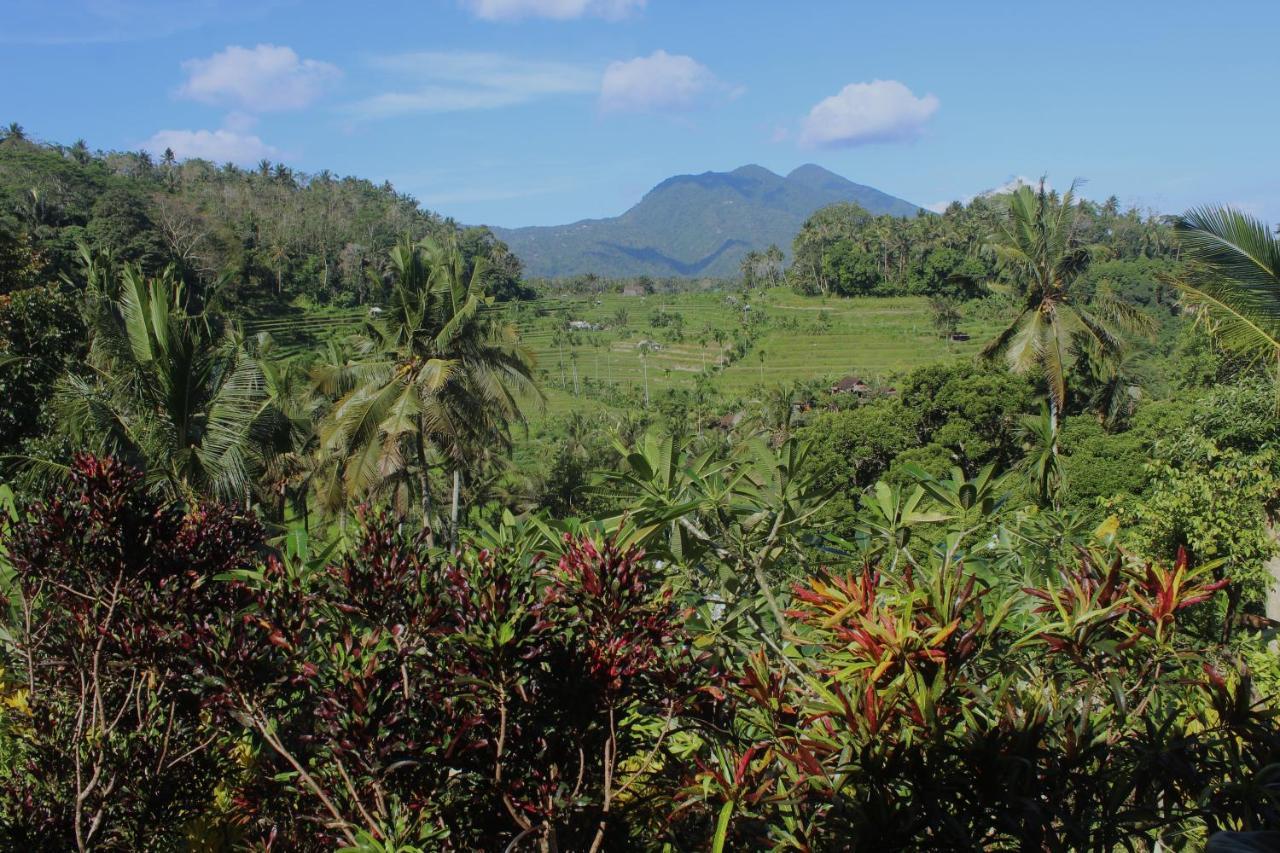 Pondok Lembah Dukuh Homestay Karangasem  Luaran gambar