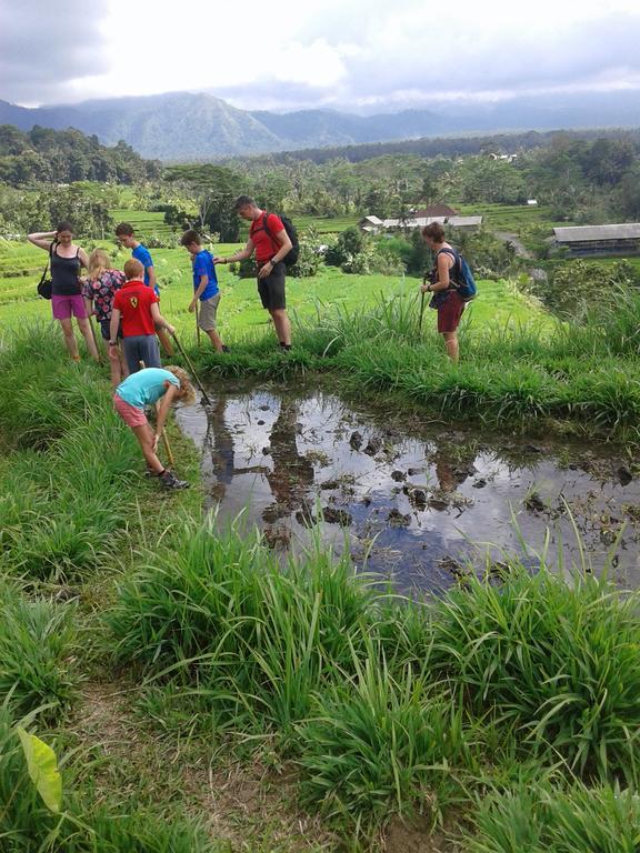 Pondok Lembah Dukuh Homestay Karangasem  Luaran gambar